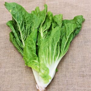 DSC06763_Easy-Resize.com