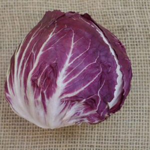 Radicchio