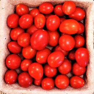 TomSweetGrape_vermelho