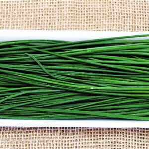 DSC06736_Easy-Resize.com