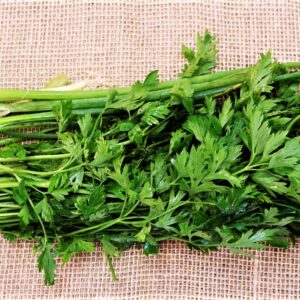 DSC06737_Easy-Resize.com