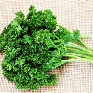 DSC06742_Easy-Resize.com