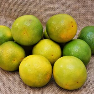 LaramjaPera_Easy-Resize.com