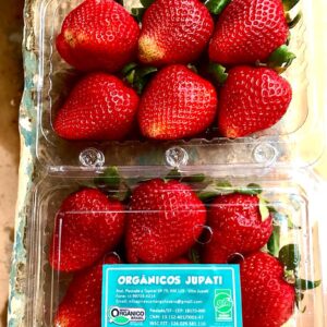 MorangoOrganicoJupati