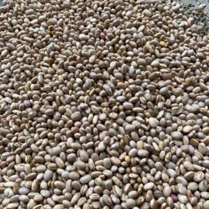 FeijaoCarioqunhaOrgJupati